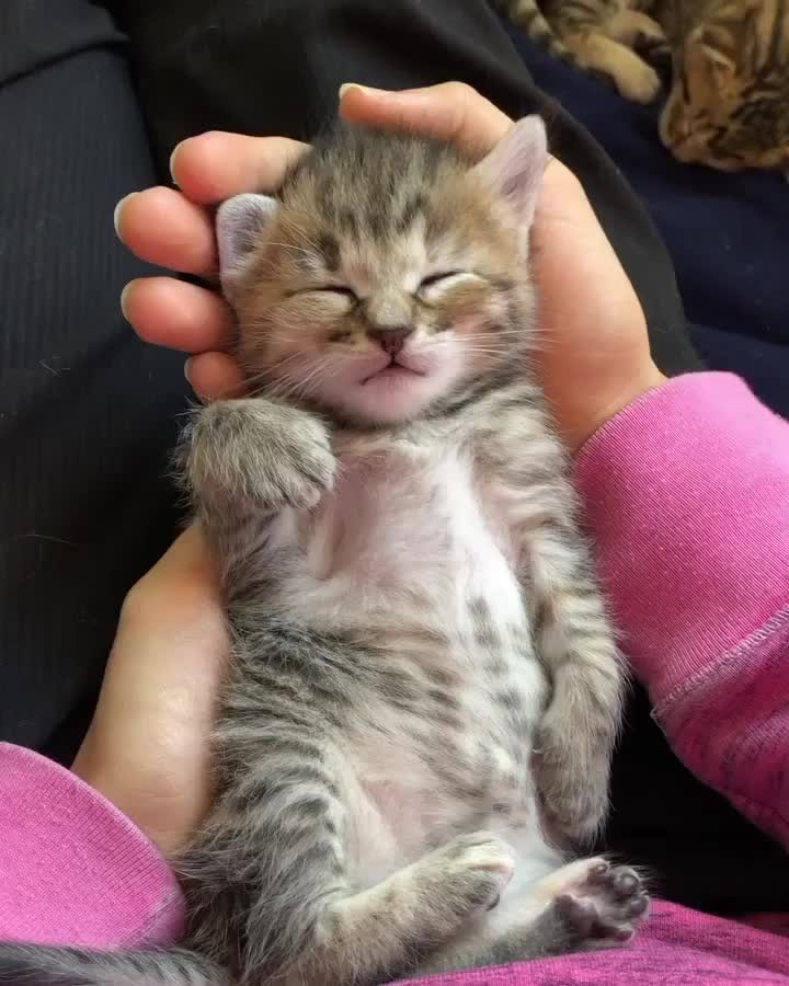 The 5 cutest seconds I’ve seen all day!