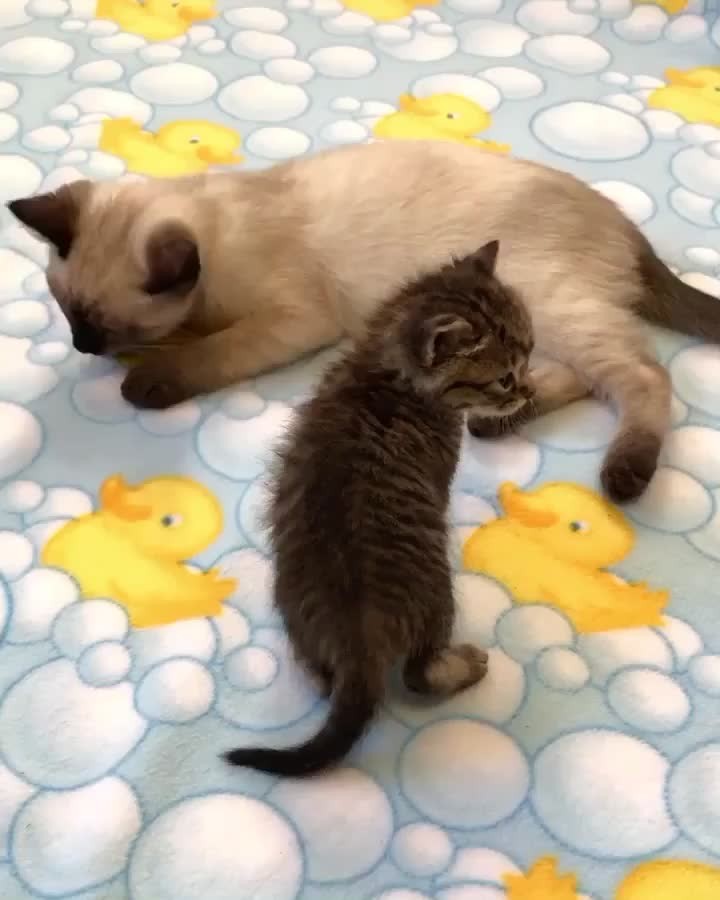 Working on a friendship.