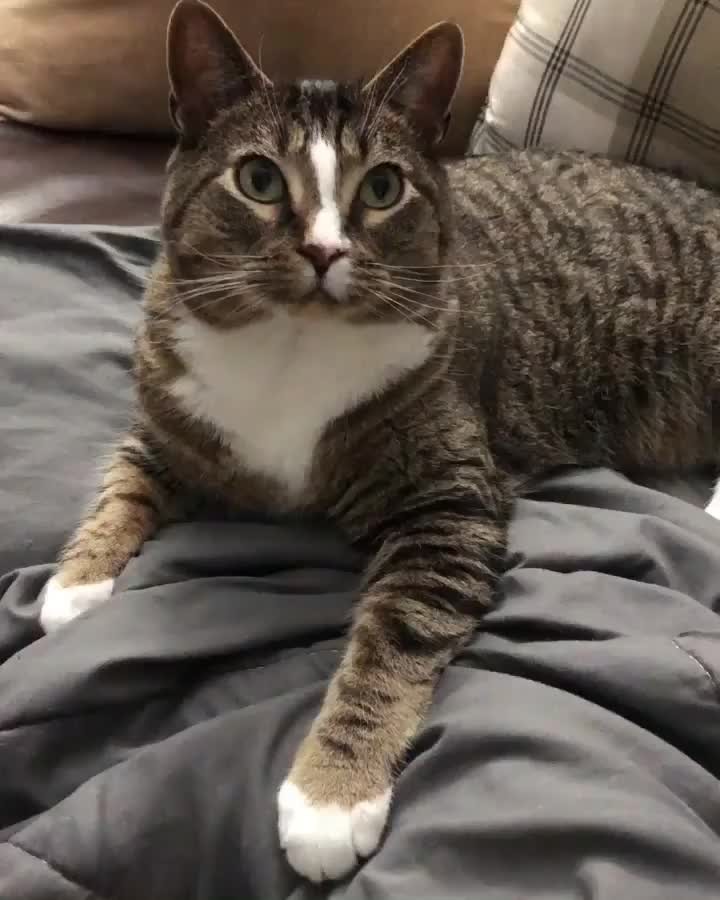 VOLUME UP! Peekaboo!!