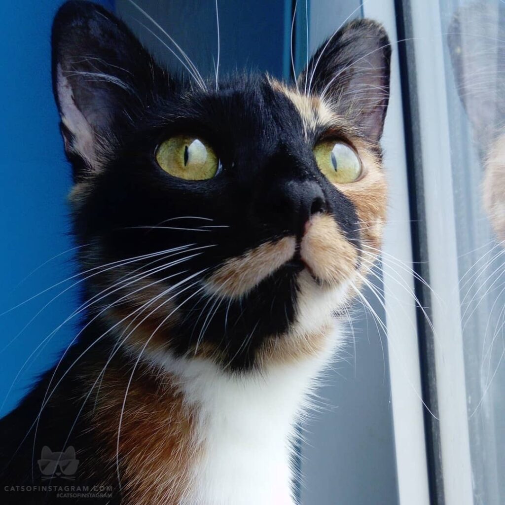 “My face when I hear that there are no more snacks