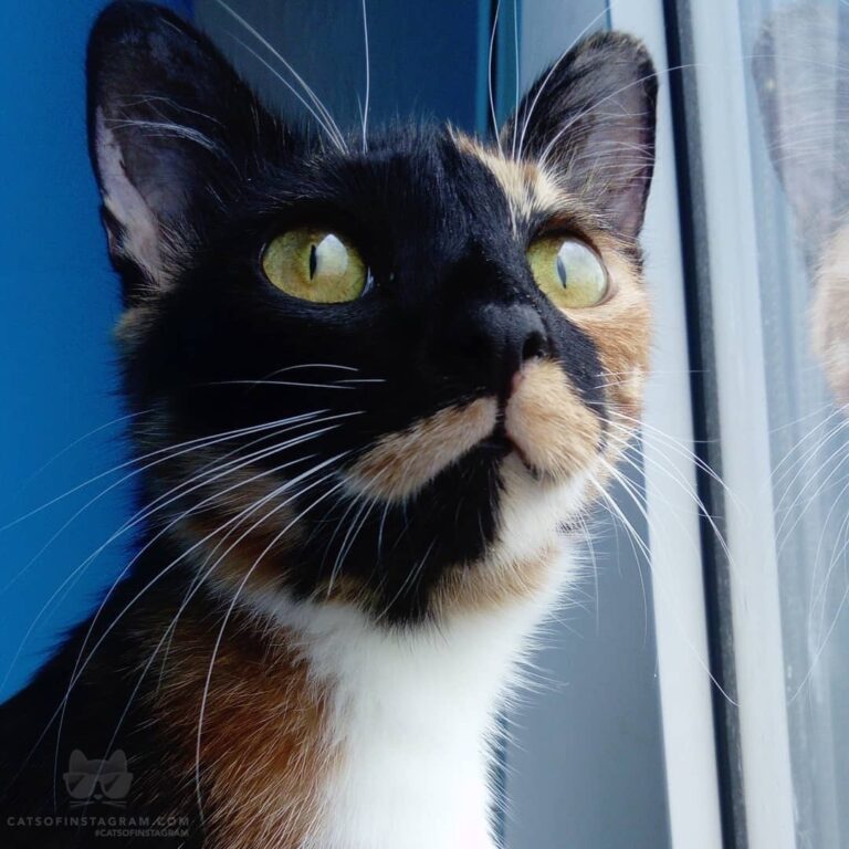 “My face when I hear that there are no more snacks