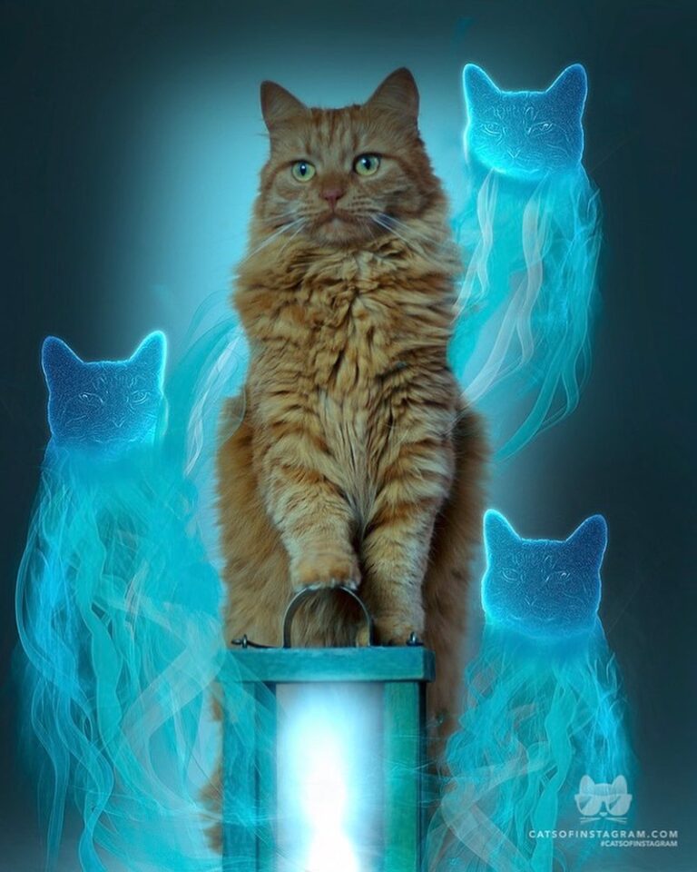 It’s time for the ghosts to come out