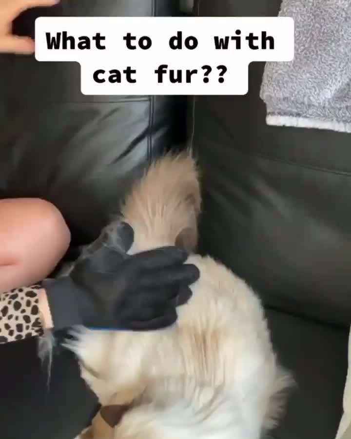 What to do with cat furr