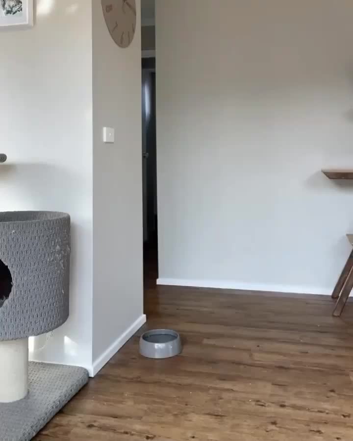Longboi snack time!