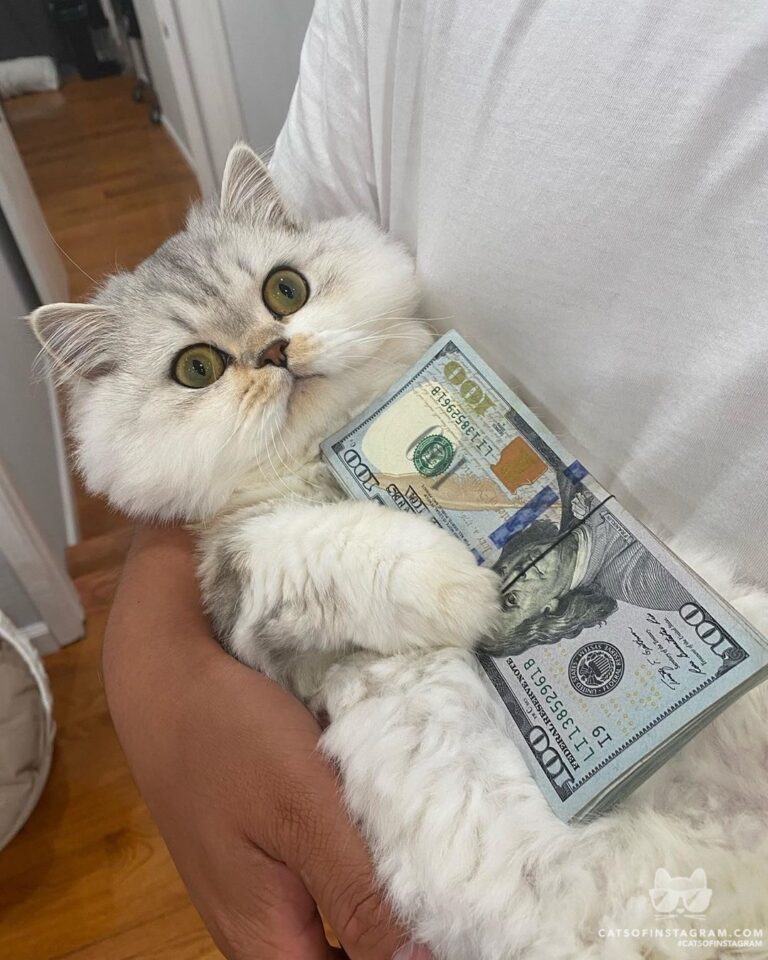 “When you work hard for you money then you realize y
