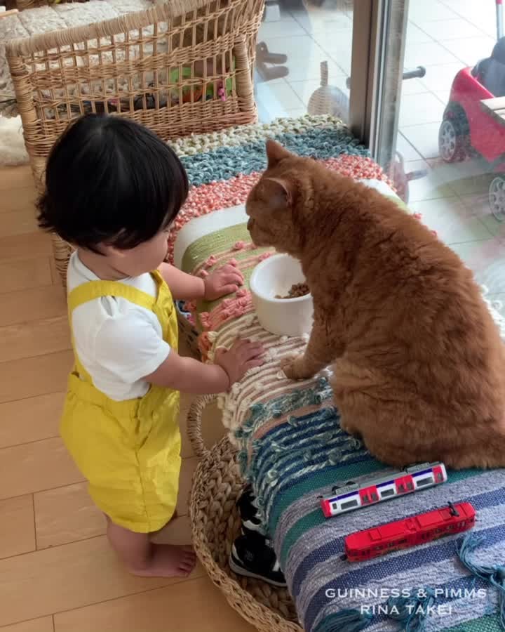 “A recent video showing Nagi’s immense affection for Pimms. He