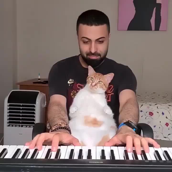 Fevzi can’t sleep without listening to piano