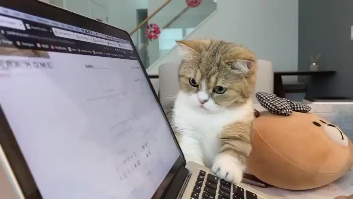 Let me select the coffee table!