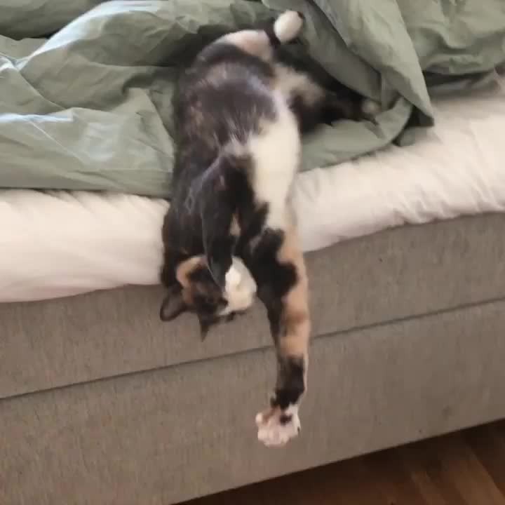 Morning slide