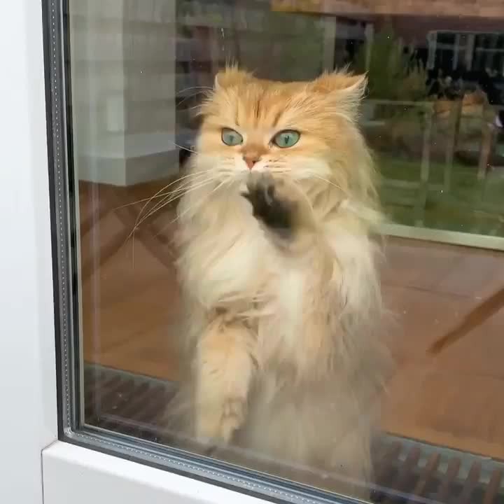 Why does this fit so well?