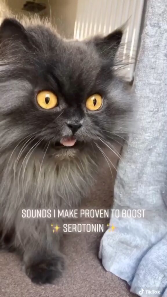 Need a boost?