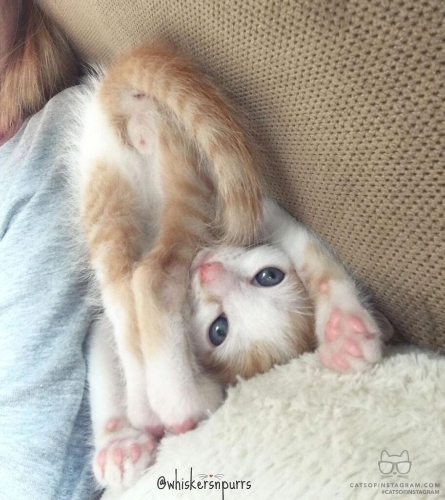 I’s upthide down ~Dale