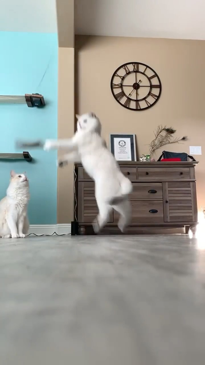 Sometimes you must dare to jump