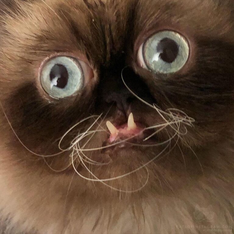 A close up for you all to appreciate.