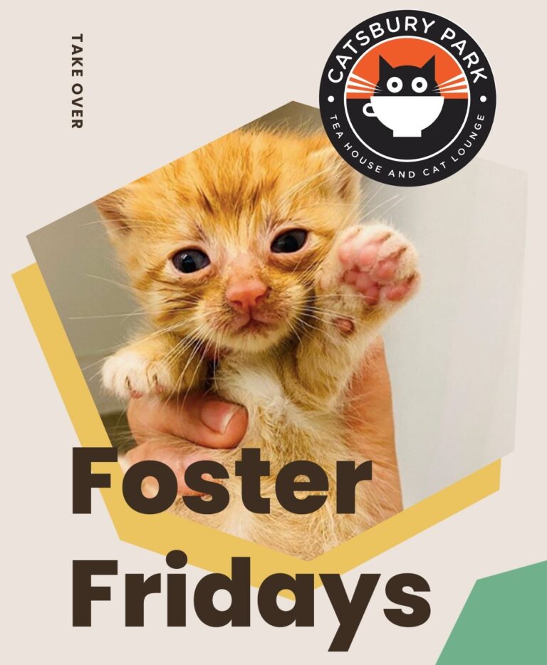 Today is with @catsburypark! Climb on over to our stories to hear