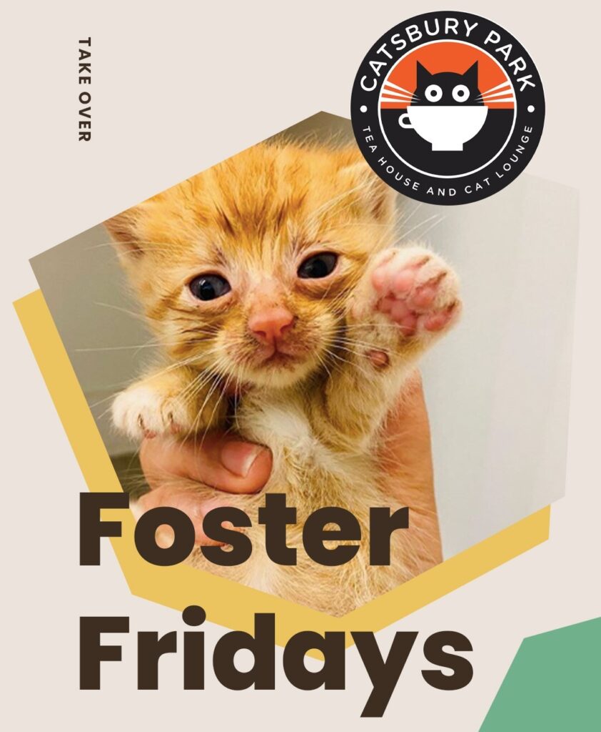 Today is with @catsburypark! Climb on over to our stories to hear