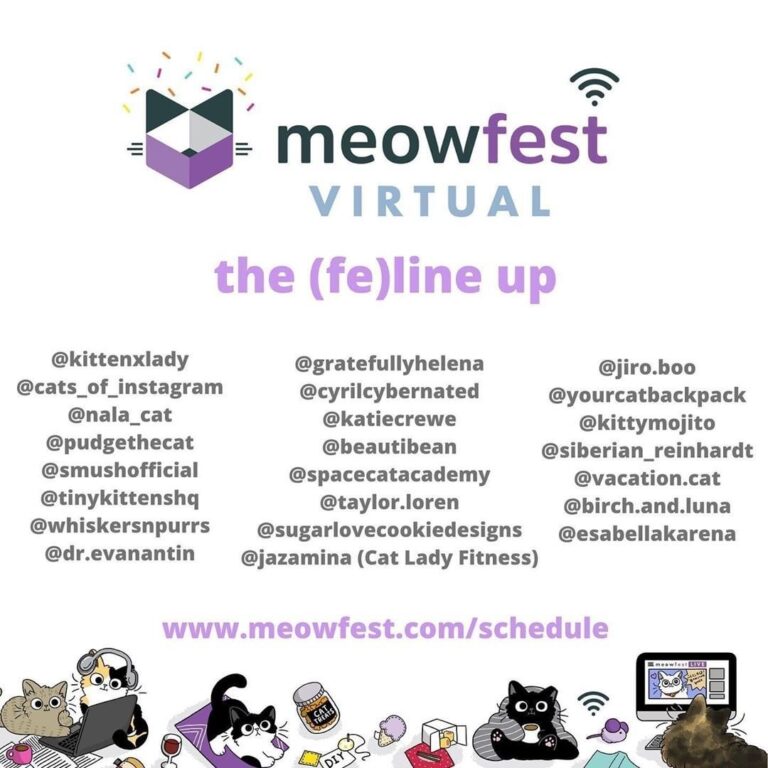 @meowfestival Virtual launches TOMORROW! General Admission tickets