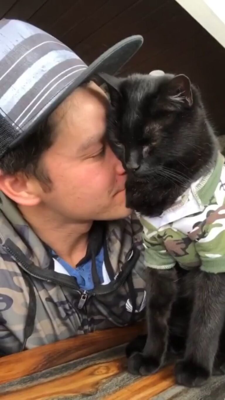 I’m showing my dad @jjyosh how to love the cat-way