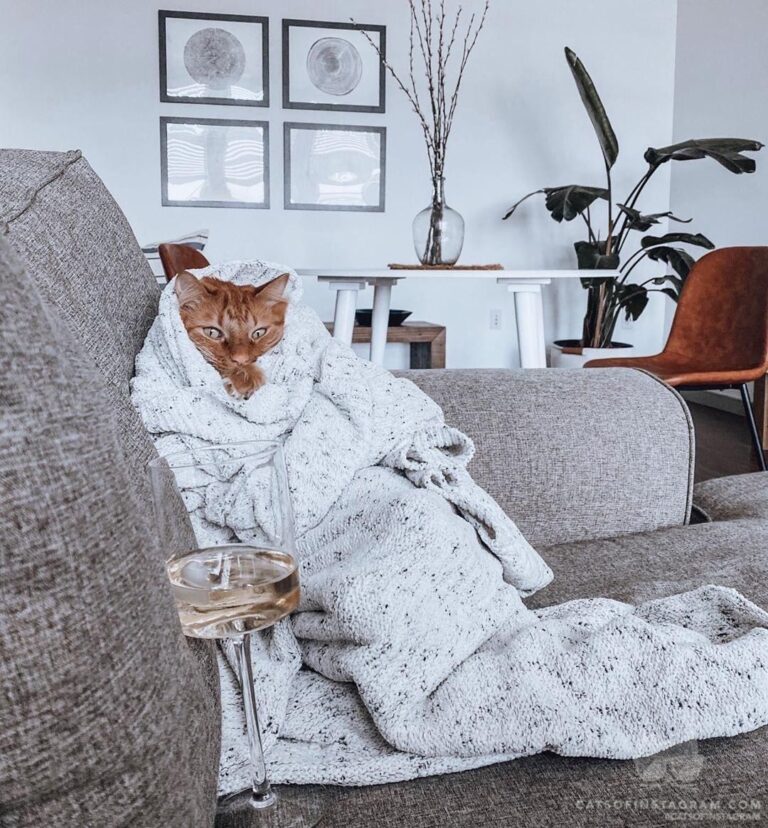 A complete isolation MOOD