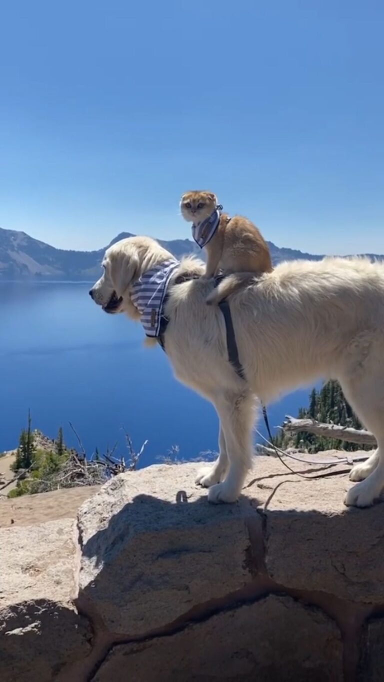 I can show you the world