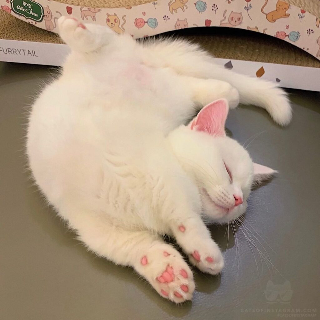 I’m not sleeping, I’m practicing yoga