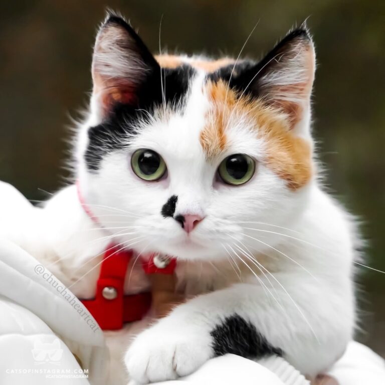 I YOU!