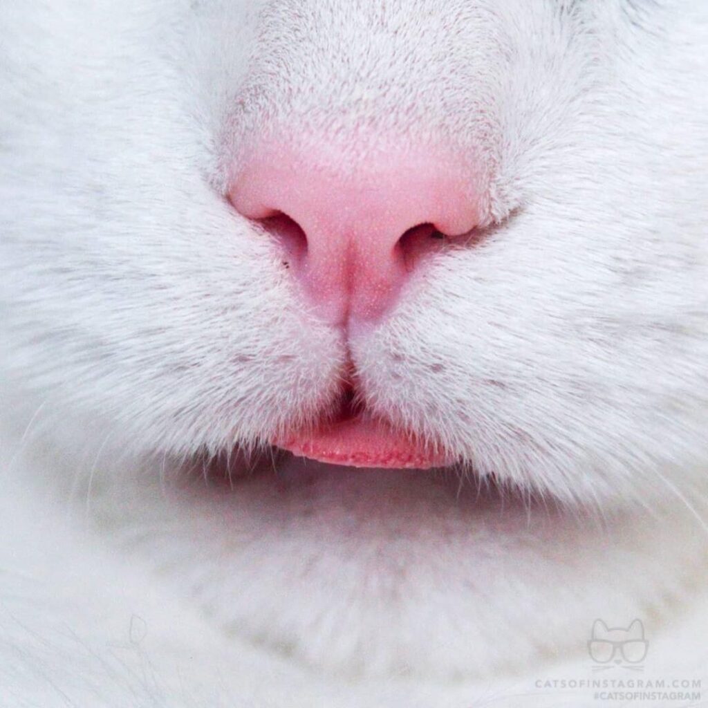 One of my favorite closeups