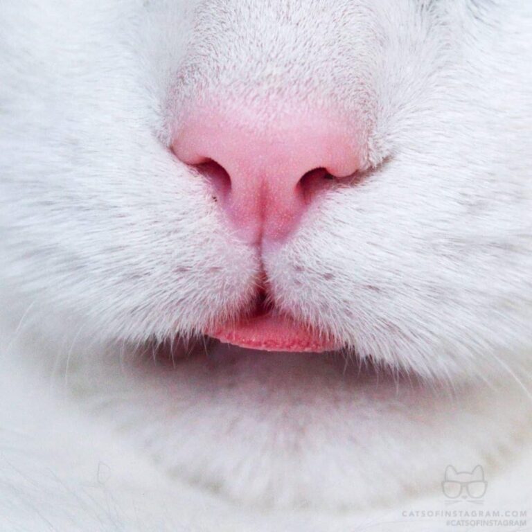 One of my favorite closeups