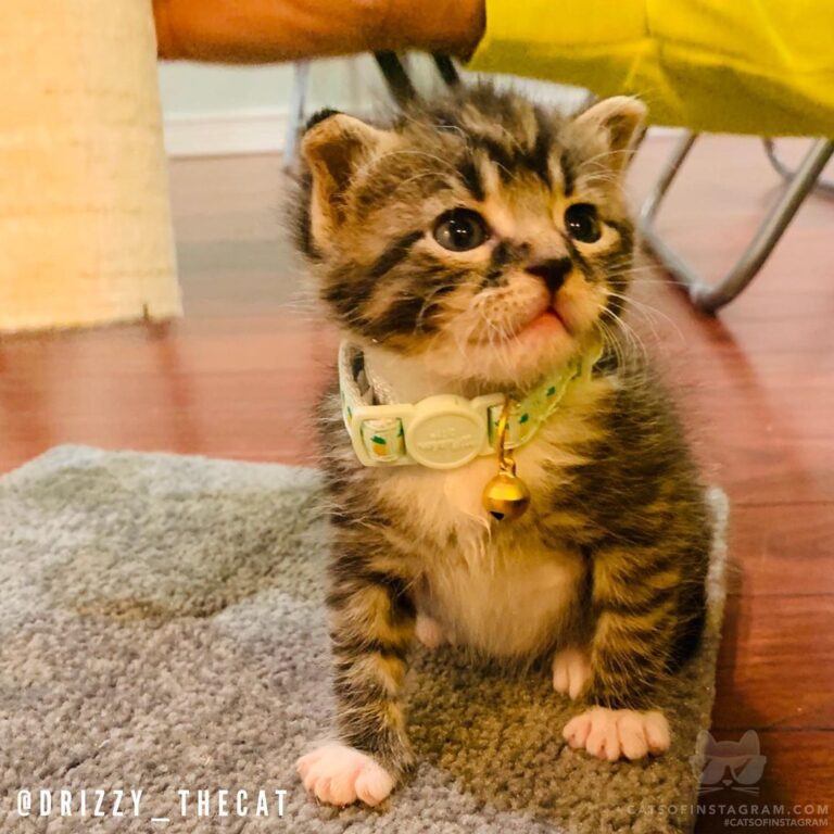 “I look awesome wearing my new necklace ! My first bling bl