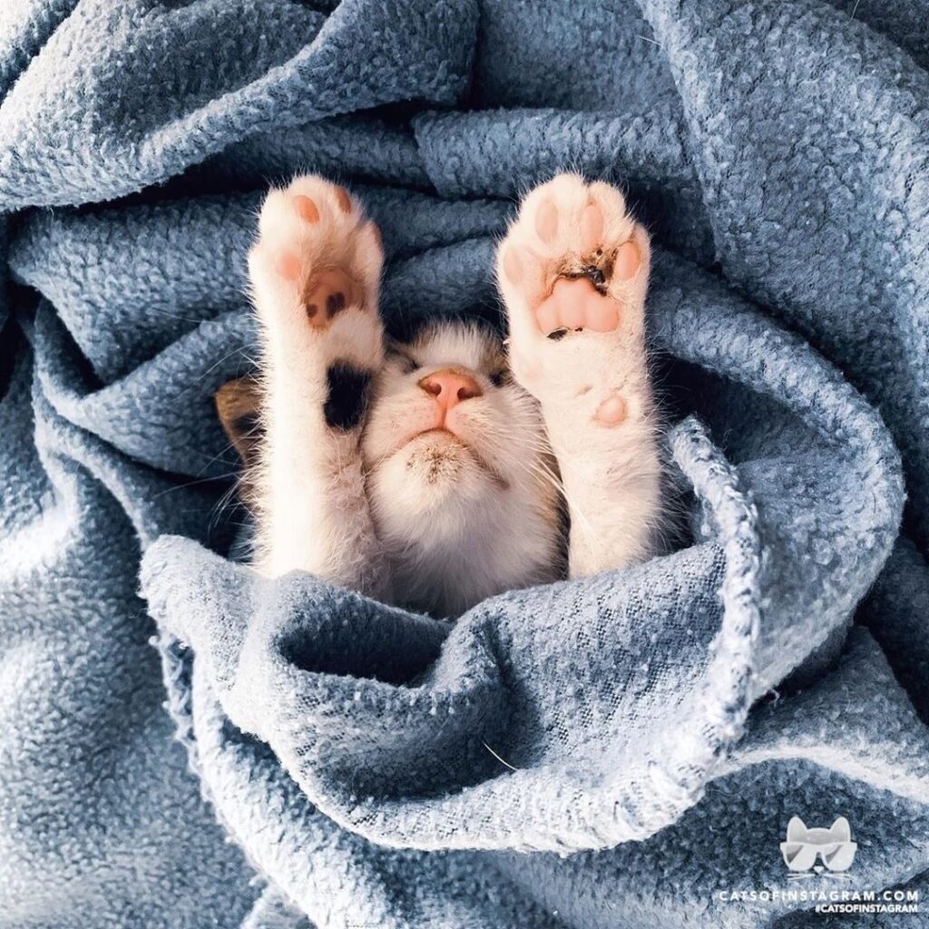Sleep tight little one