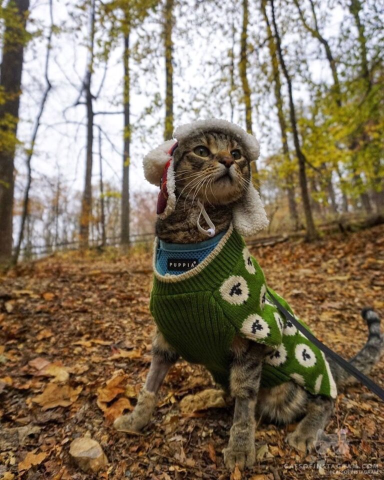 Is that Monday right over there? No thanks!