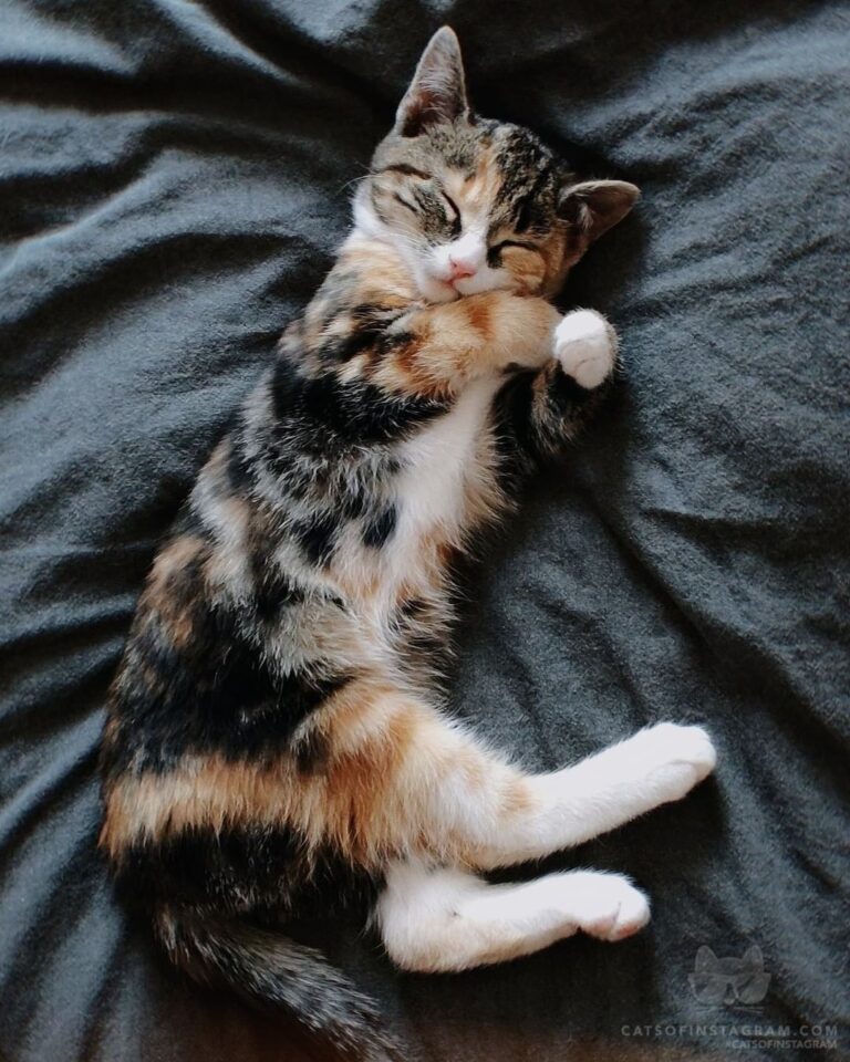 “Brought this little thing home two days ago. Kida immediately