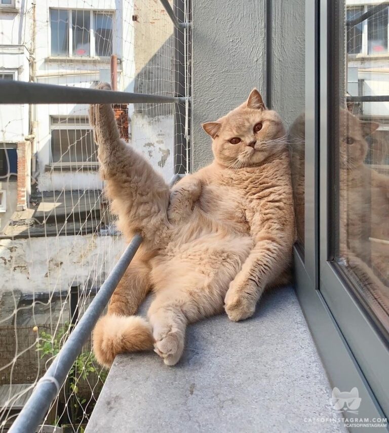 “Here comes your crush, act natural.” Me: