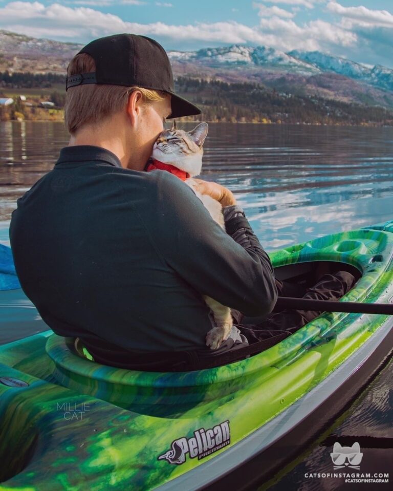 Kayak canoodle