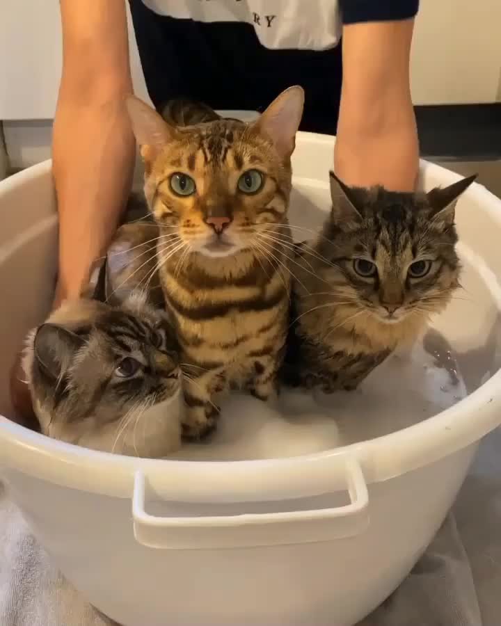 Bath time!