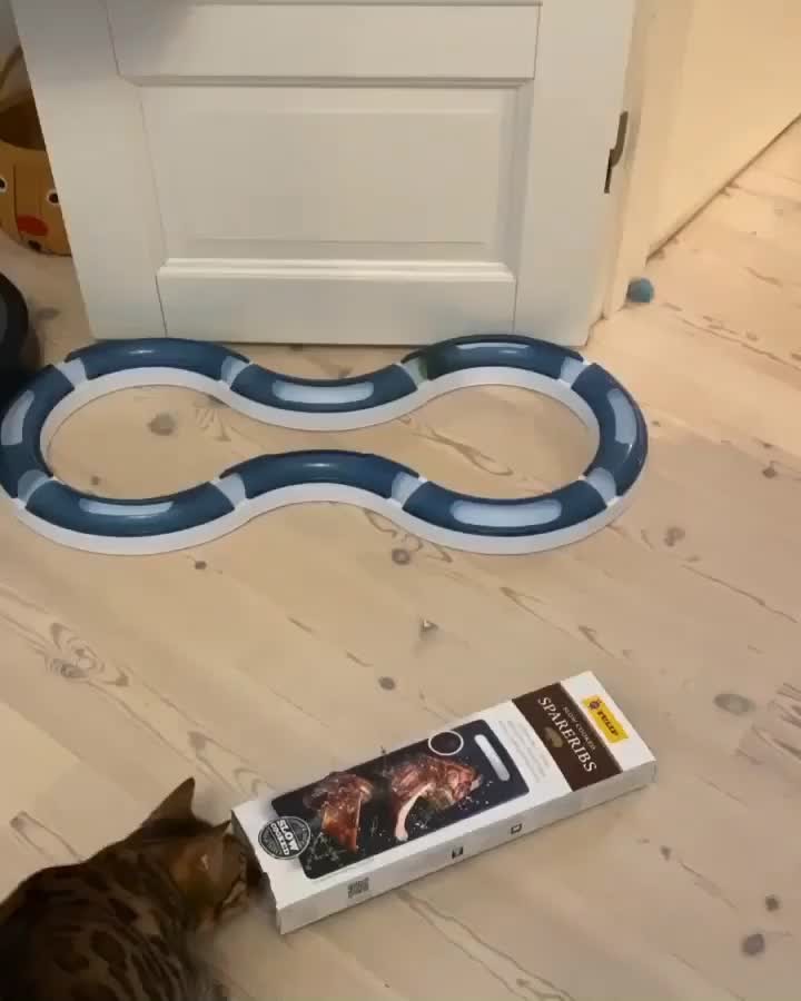 Something is wrong with him