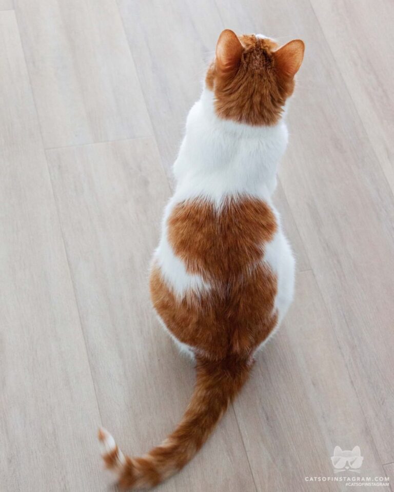 I you!!