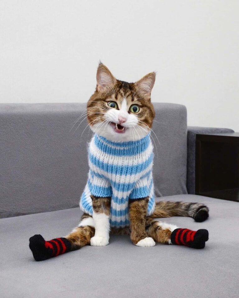 Just sitting there waiting for fall to begin