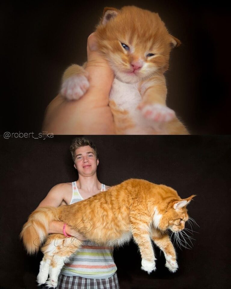 How did this happen?