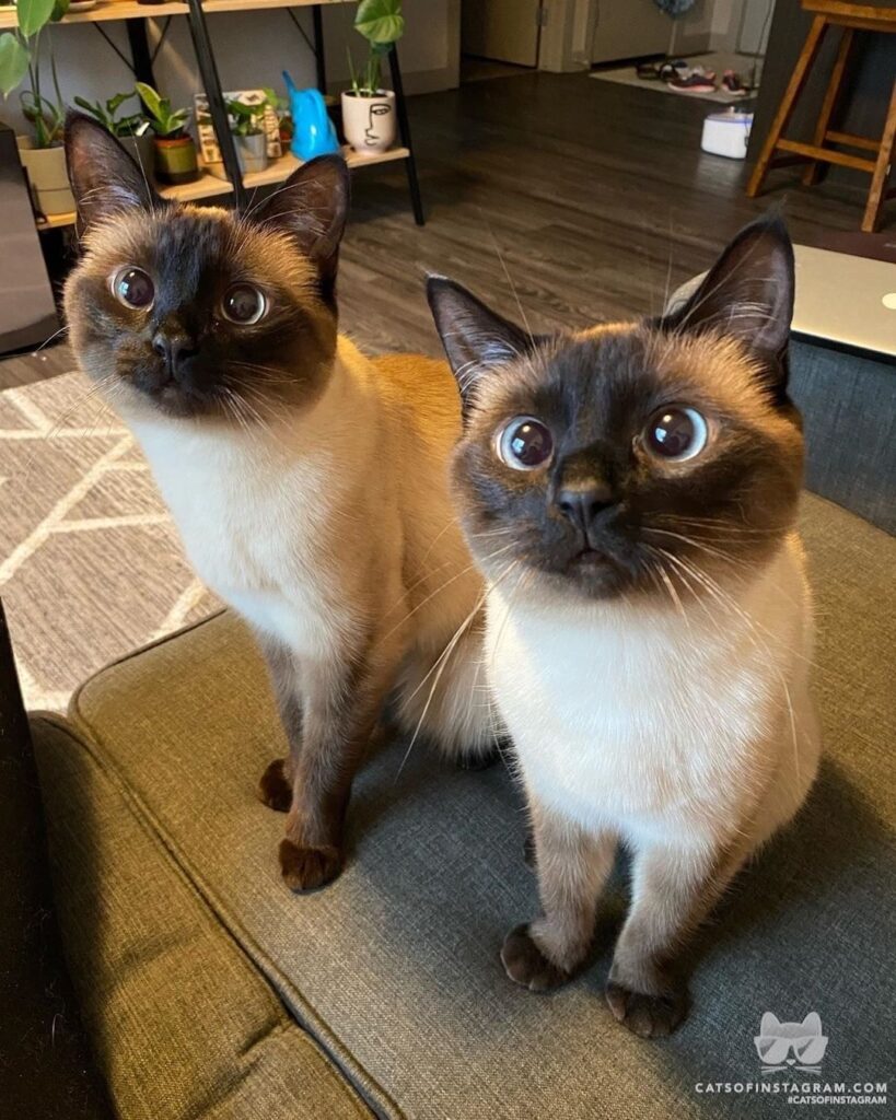 “Mom says we are two peas in a pod because we are