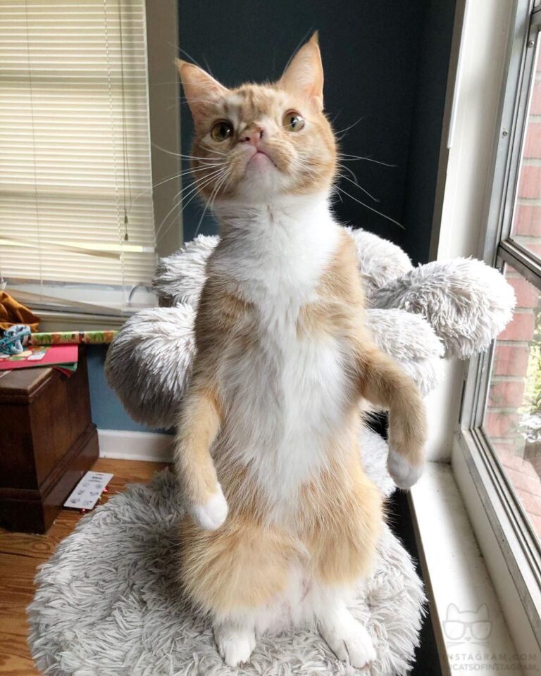 Well, hello there!