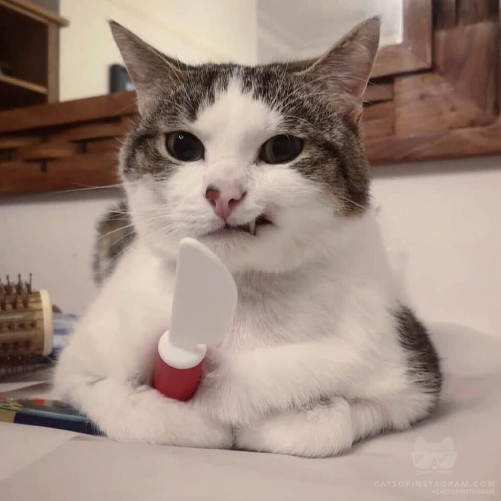 Do you want to know how I got these scars?