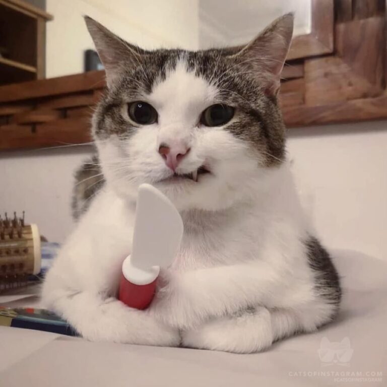 Do you want to know how I got these scars?