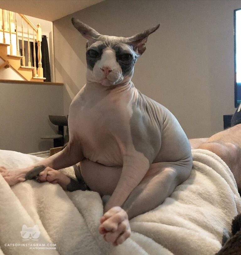 “Feeling a little bloated , I’m one fart away from my sexy f