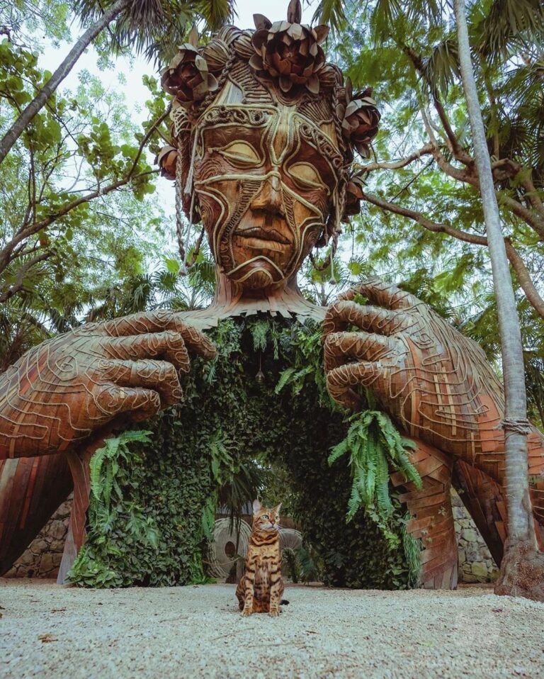 Do you feel the forest in your soul?