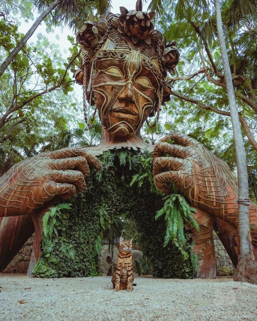 Do you feel the forest in your soul?