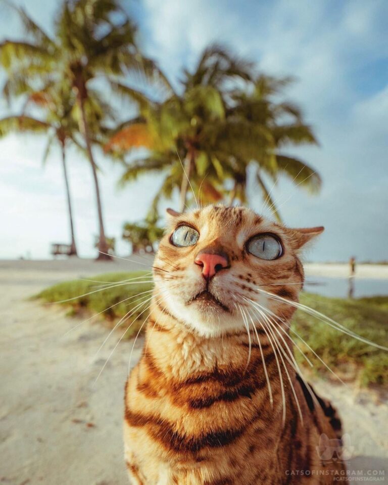 Suki’s beach face