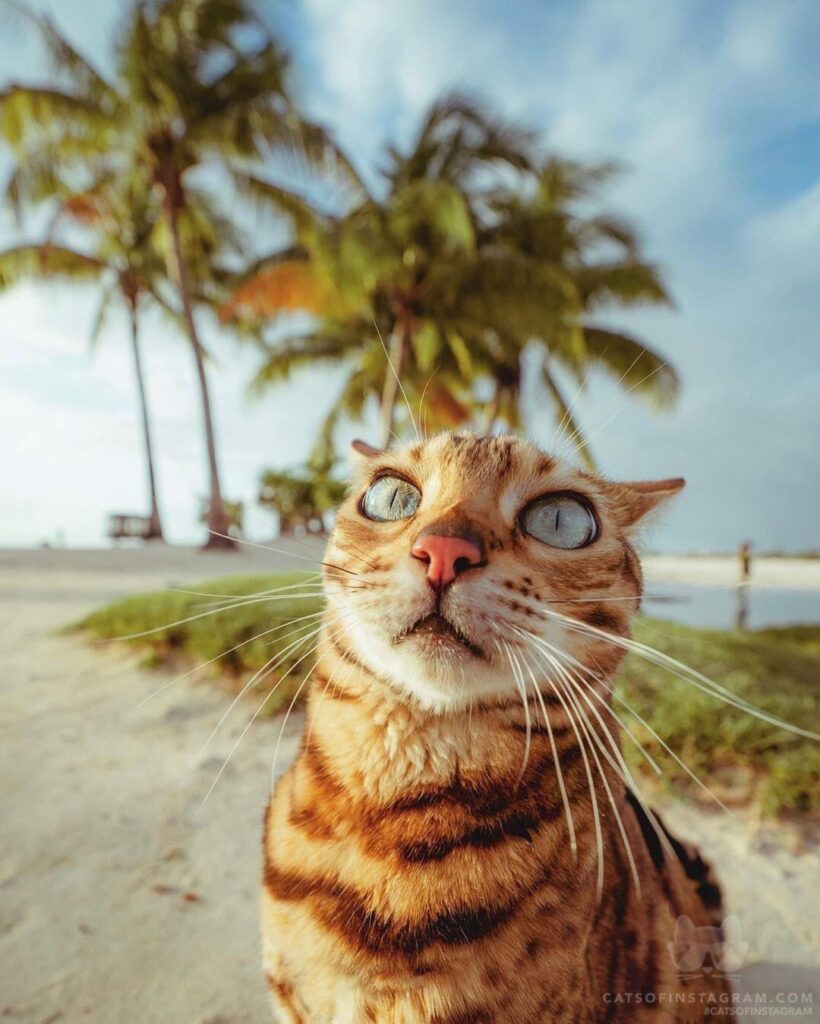 Suki’s beach face