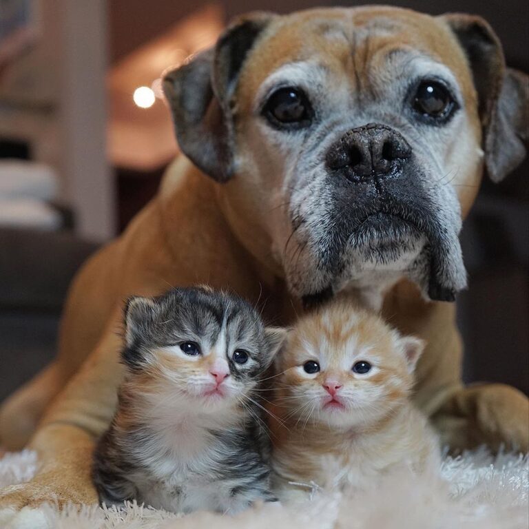 “Suzie, meet Eli and Lori. Eli and Lori, meet Suzie.