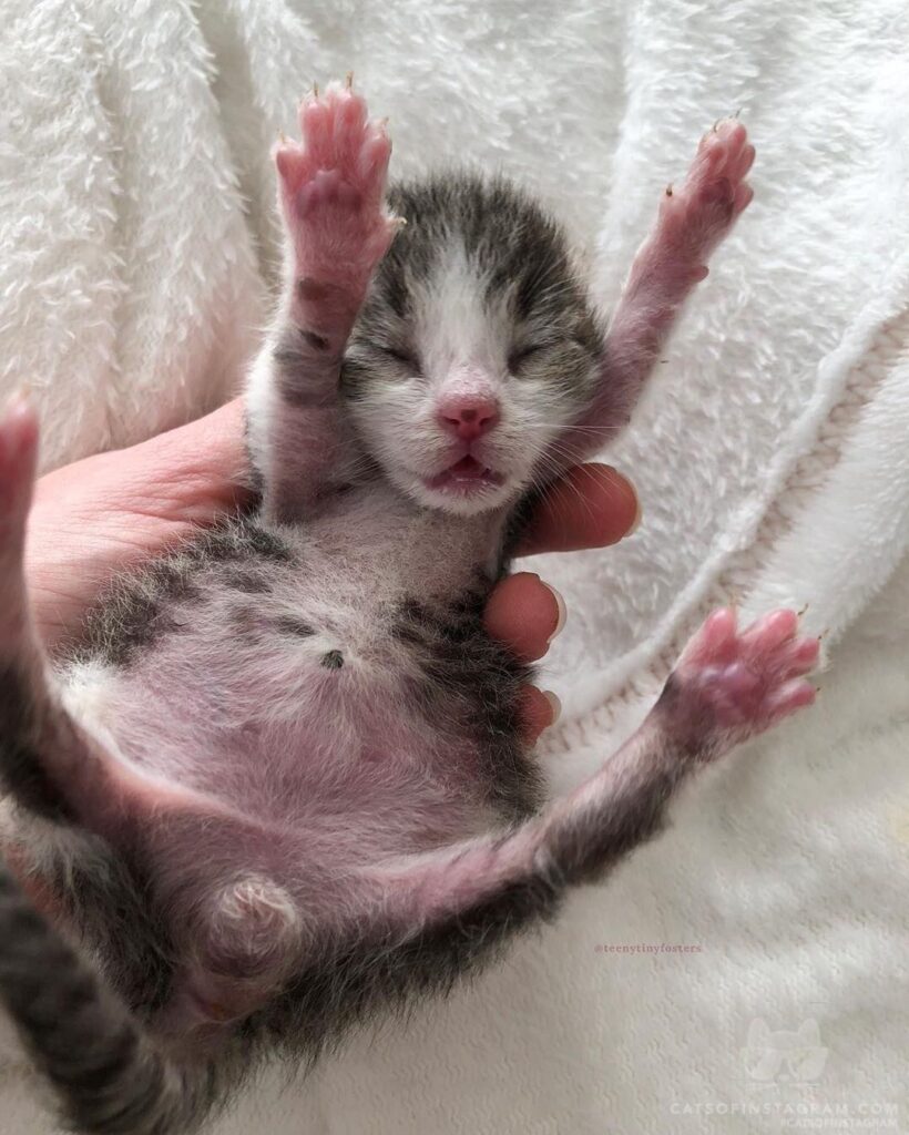 “Happy from a teeny tiny former foste